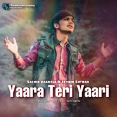 Yaara Teri Yaari artwork