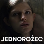 Jednorożec artwork