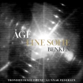 Benken (feat. Line Sofie Aleksandersen, TrondheimSolistene, Gunnar Pedersen) artwork