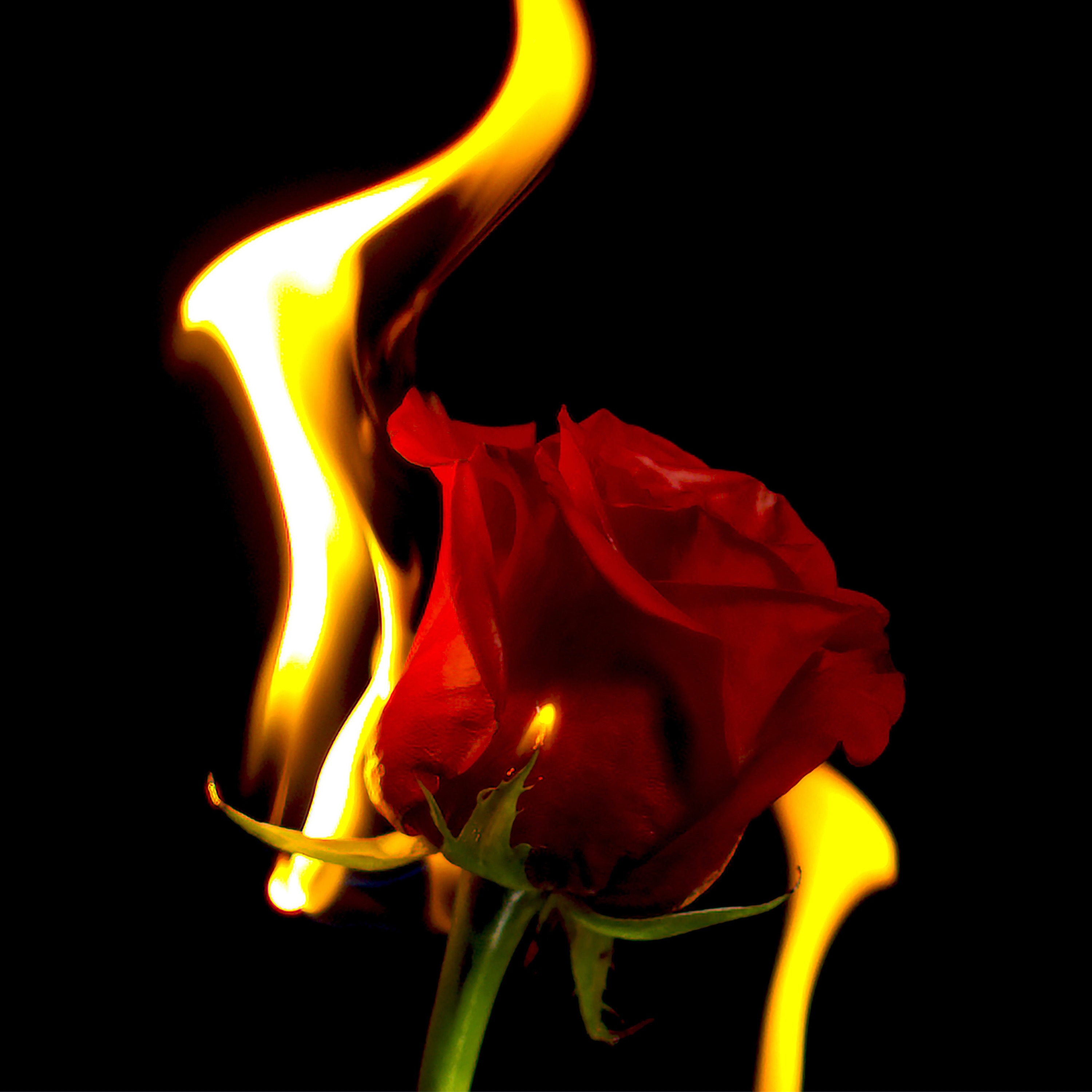 WKSU: On Now - The Pulse