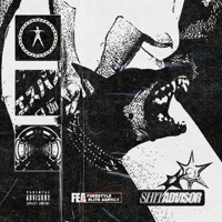 Shit Advisor (feat. Frenk) - Single - FEA