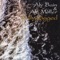 The Great Silkie of Sule Skerry - Aly Bain and Ale Möller lyrics