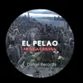 El Pelao