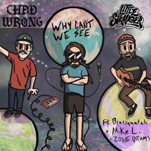 Why Can't We See (feat. Little Stranger & ZONE Drums) - Single