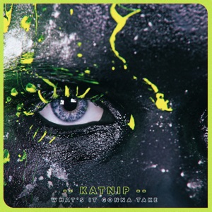 What's It Gonna Take (feat. King Sis)