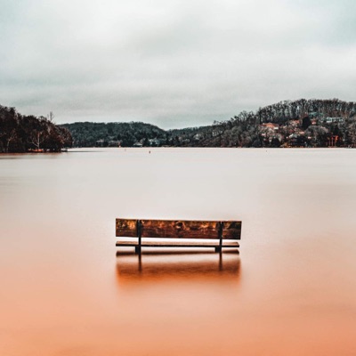 Without You - Single