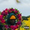 CHANGES (feat. Daniyel) - SoloSam lyrics