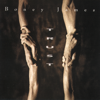 Trust - Boney James