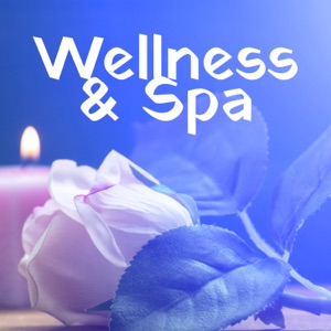 Wellness & Spa