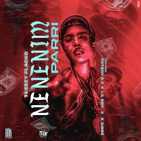 Nenenim Parri (feat. FatBoy 6.3, Lil Boy & A'Aires) - Single - Treezy Flacko