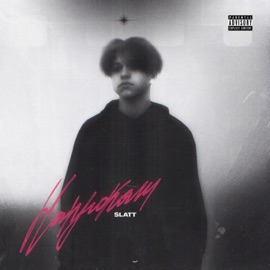 Напрокат Slatt