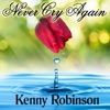 Never Cry Again - Single