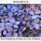 Mtns - Penn Bryce lyrics