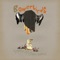 Dark Horse - Bowerbirds lyrics