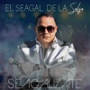 El Seagal De La Salsa
