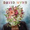 David Myhr - The Perfect Place