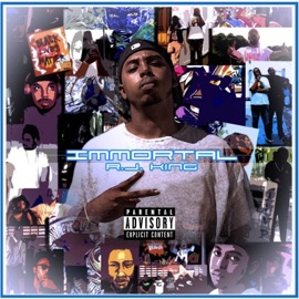 Rollin DestroNYC & RJ King