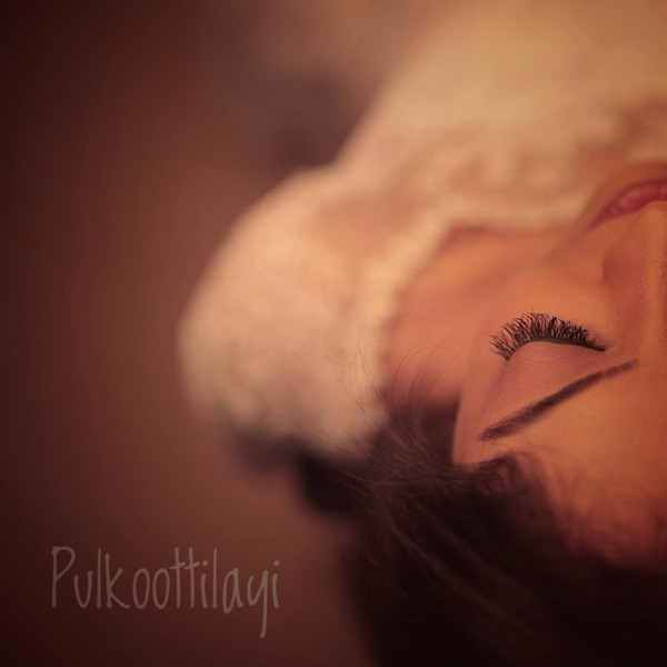 Pulkoottilayi (feat. Zealous)
