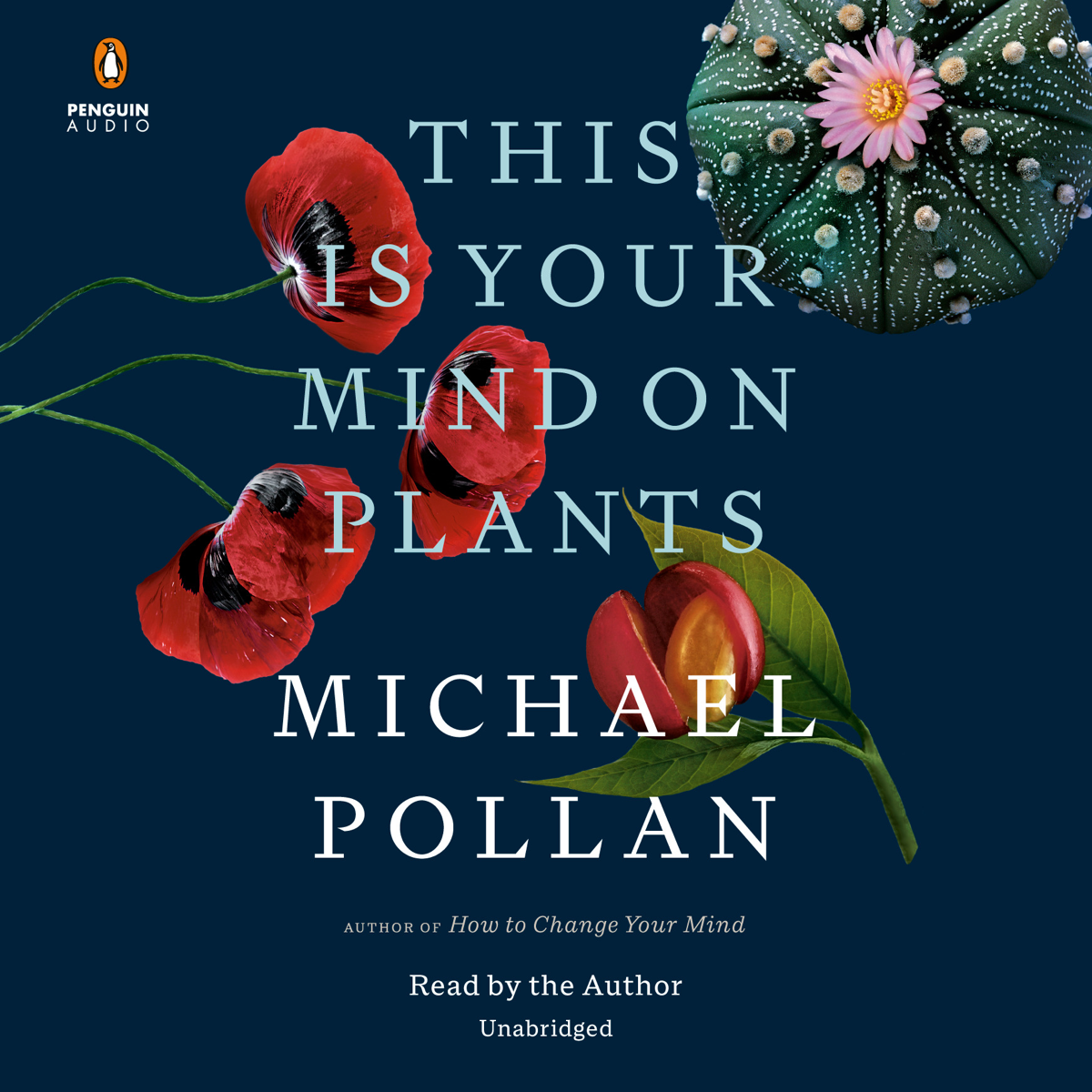 iTunes Top 100 NonFiction Audiobook Best Sellers