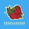 Bulletproof - Pomplamoose