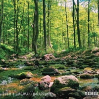 Been a Minute/ Galapagos - Single - Archie Divine