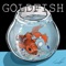 Goldfish - Saint Luna lyrics