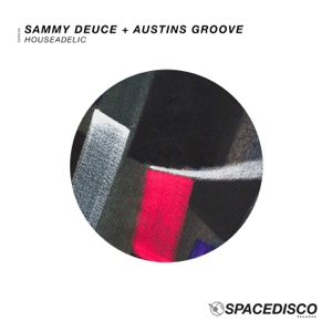 Houseadelic - Single