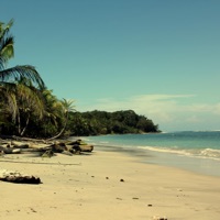 Manzanillo - Single - Mosch