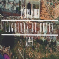 Lágrimas de Fenix (feat. Zenit & Dj Gaston) - Single - Inze Brashier