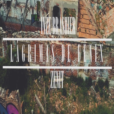 Lágrimas de Fenix (feat. Zenit & Dj Gaston) - Single