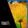 Wind FX, Nature Sounds - ASMR Wind Channel, Wind Noise & Sleep & Wind White Noise Channel