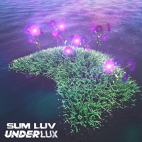 Sum Luv - Single - UnderLux