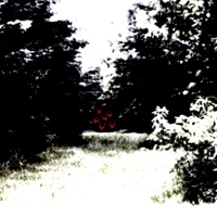 Why U Gotta Be Like This All the Time (feat. Winters) - Single - loveclover