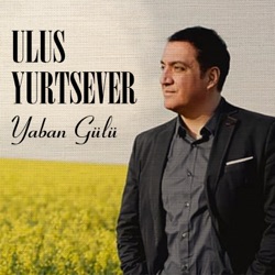 Yaban Gülü