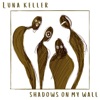 Shadows on my Wall - Single