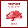 Flowchief - Never Stop