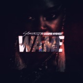 Wame (feat. Cassper Nyovest) artwork