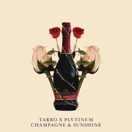 Champagne & Sunshine PLVTINUM & Tarro