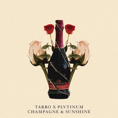 Champagne & Sunshine - Single