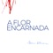A Flor Encarnada - Maria Bethânia lyrics