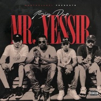 Mr.Yessir - BigPop