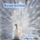 Don Robertson - The Night of the Soul