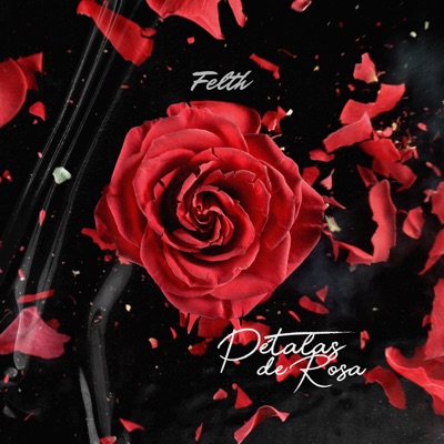 Pétalas de Rosa - Single