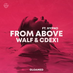 From Above (feat. Hypno) - Single