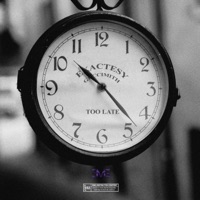 Too Late (feat. Guccimith) - Single - Exactesy