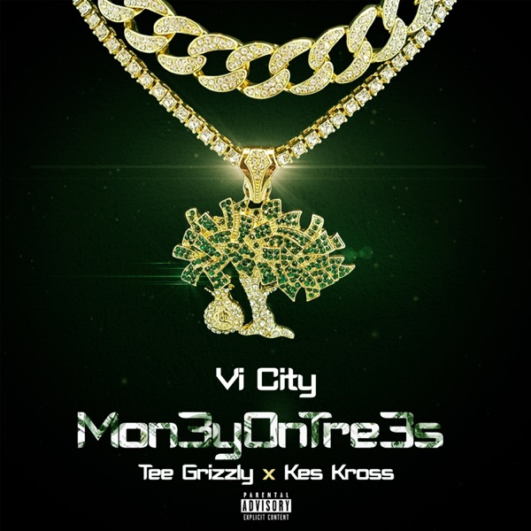 M0n3y 0n Tr3es (feat. Tee Grizzley & Kes Kross) - Single - Vi City