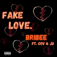 Fake Love. (feat. Deli Boyz) - Single - Bribee