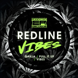 Vibes - Single