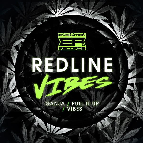 Vibes - Single