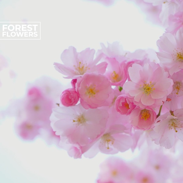 Forest Flowers - Single